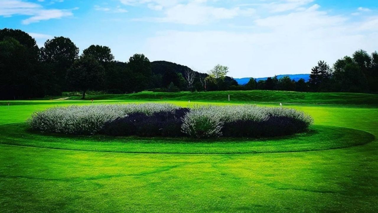 Golfpark Moossee Golfclub Bern