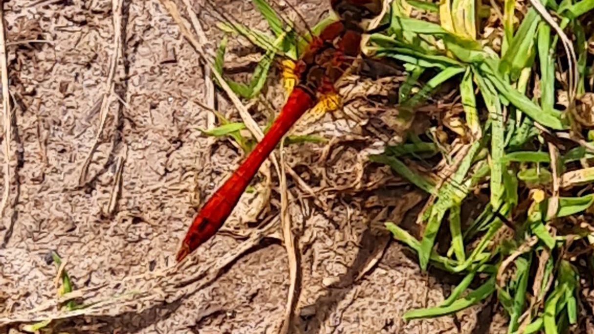 Golfresort Strandgrün Timmendorfer Strand
