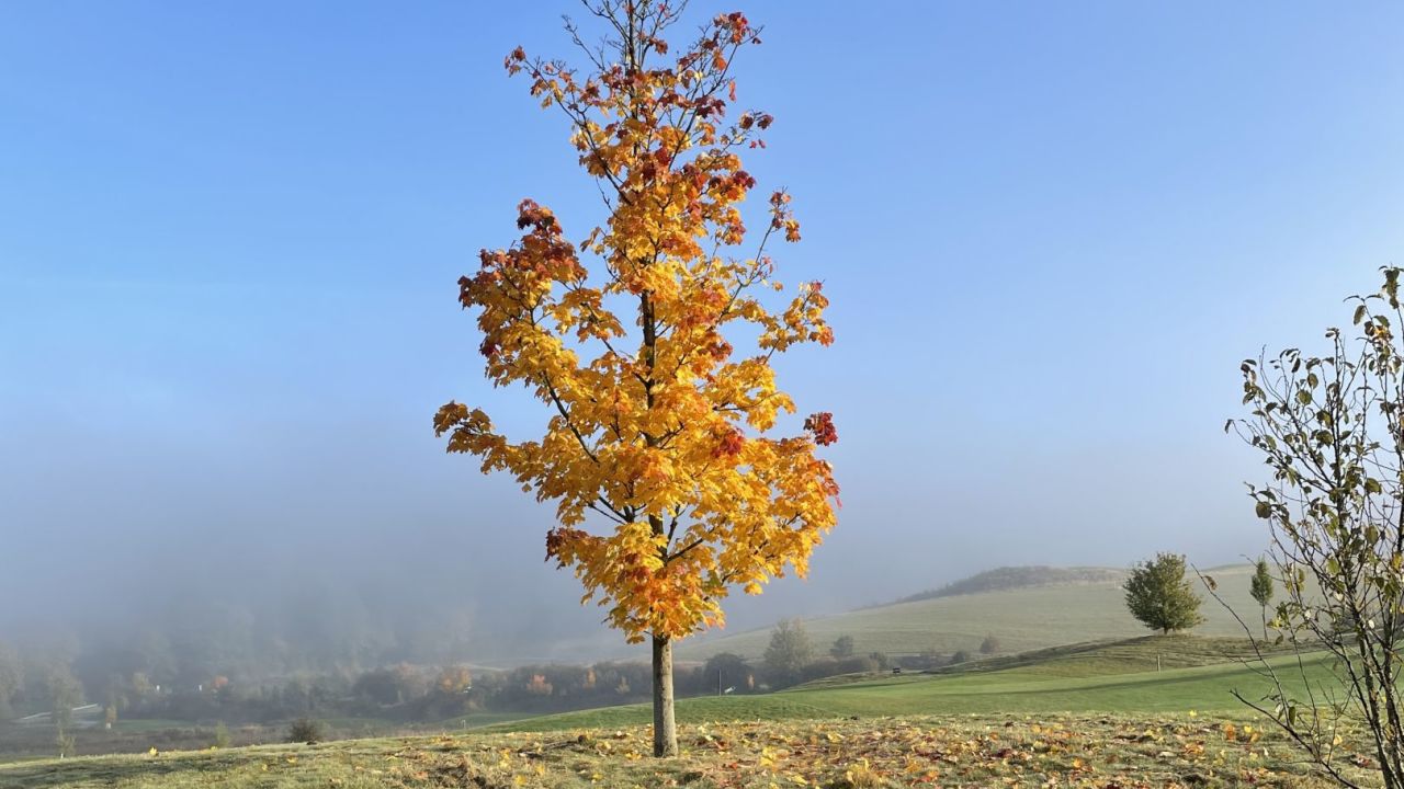 Golfclub Hofgut Georgenthal
