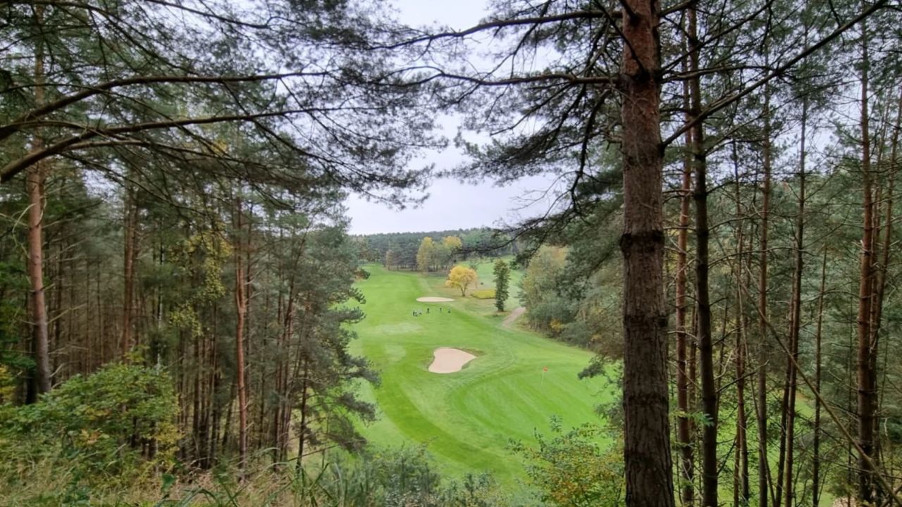 GC Herzogstadt Celle