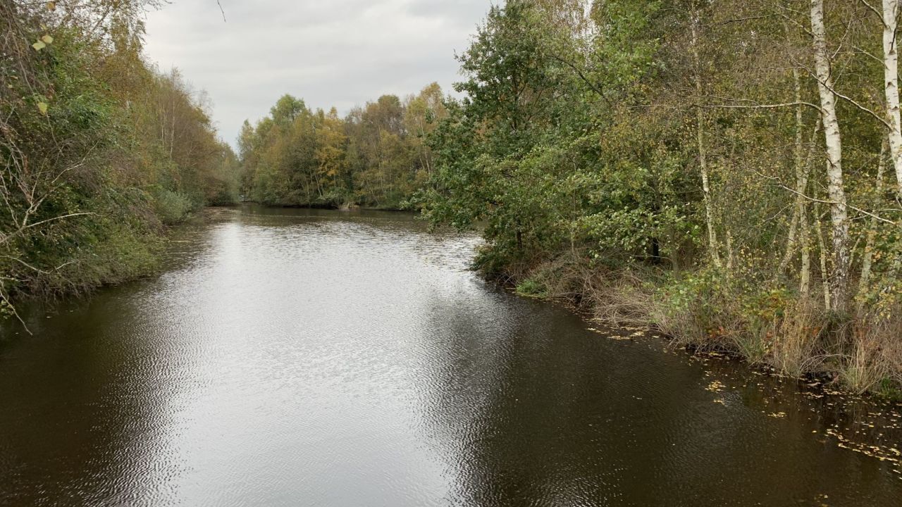 GC Bremerhaven Bürgerpark