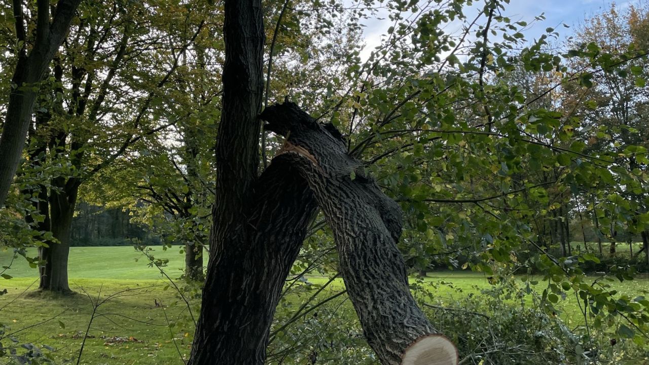 Golfanlage Hummelbachaue