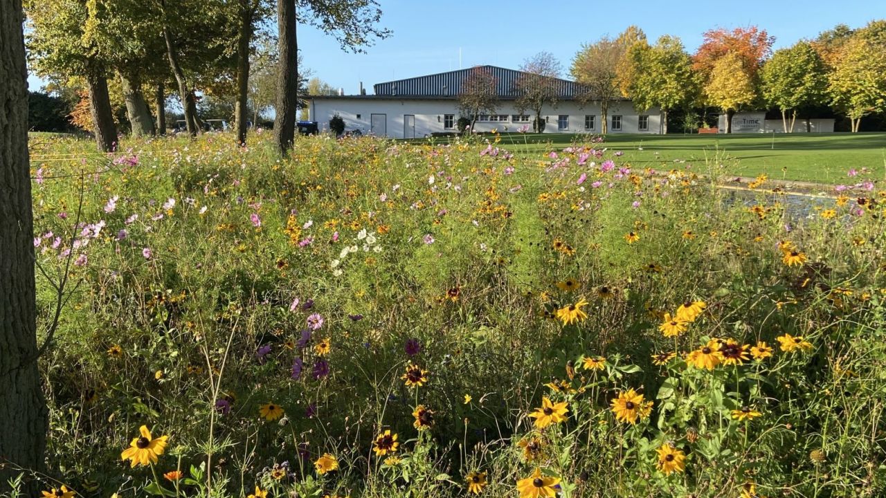 Maritim Golfpark Ostsee