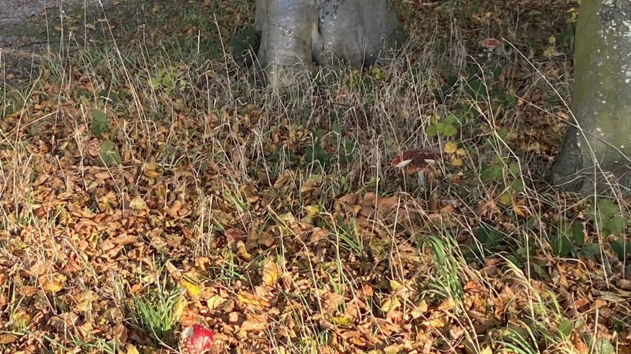 Golf- & LandClub Gut Uhlenhorst