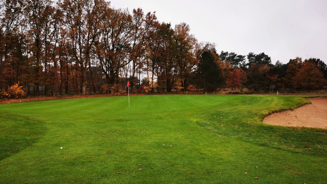 GC Herzogstadt Celle