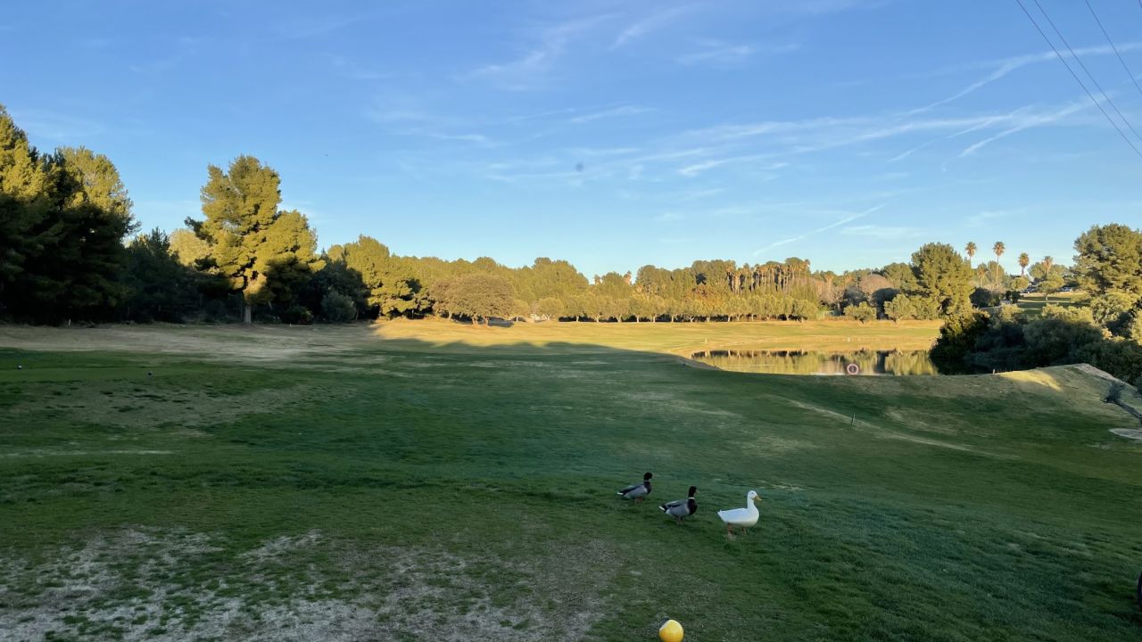 Club de Golf Costa Dorada