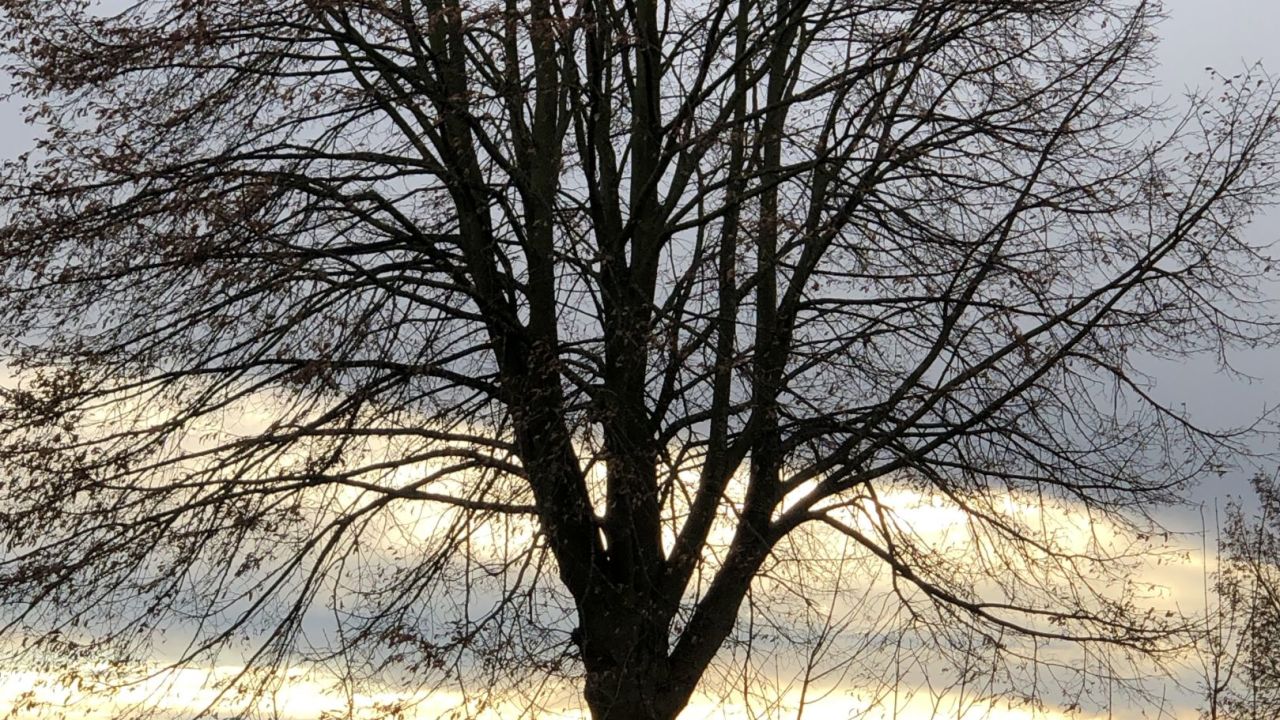 Golf & Country Club Velderhof