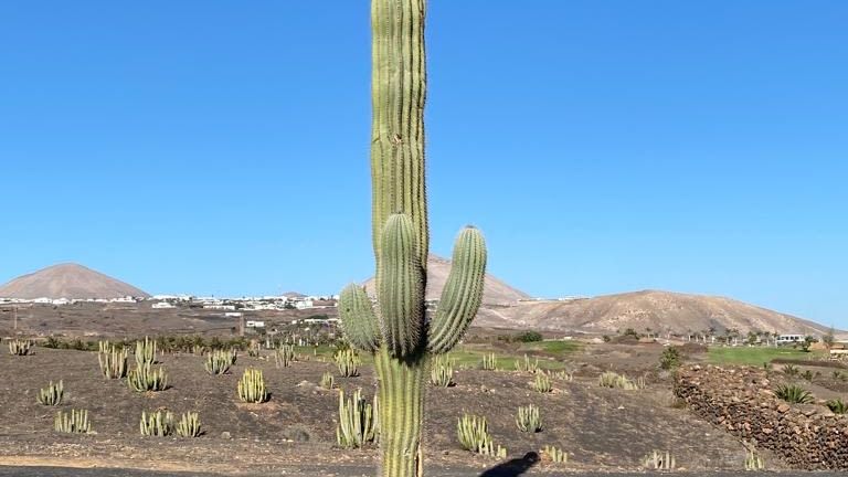 Lanzarote Golf Resort