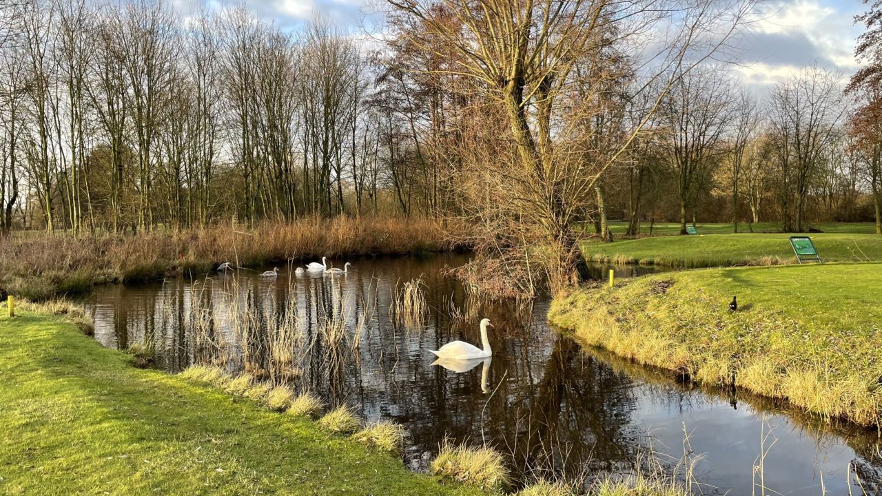 Golfanlage Hummelbachaue