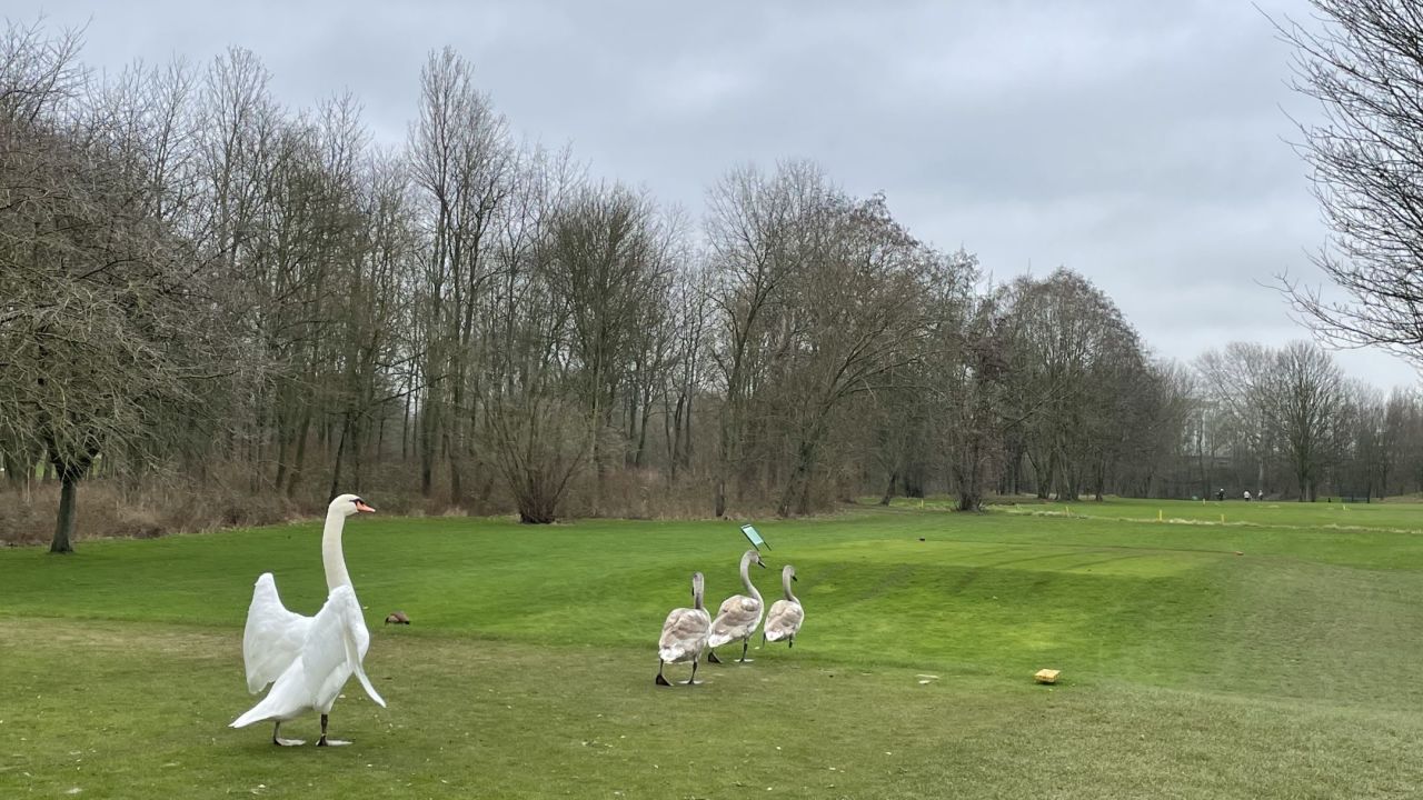 Golfanlage Hummelbachaue