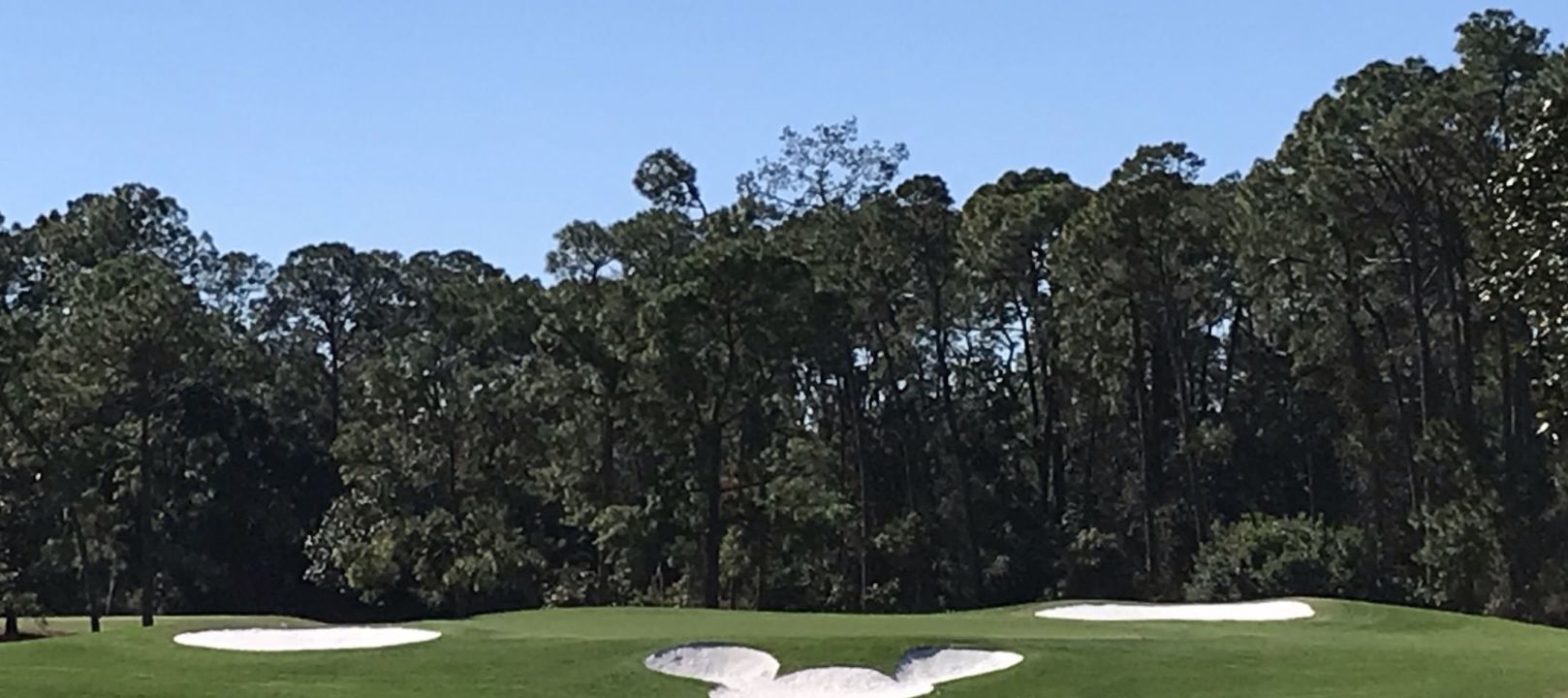Walt Disney World Resort Golf