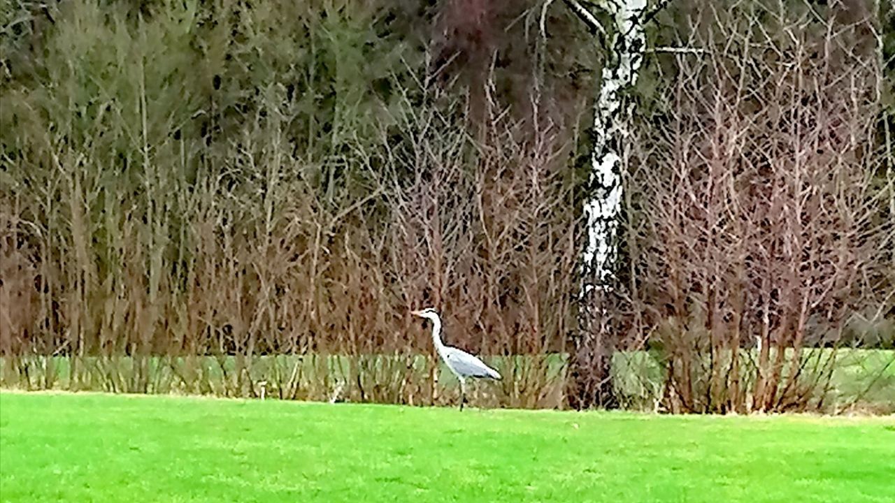 (Werbung wegen Namensnennung)...