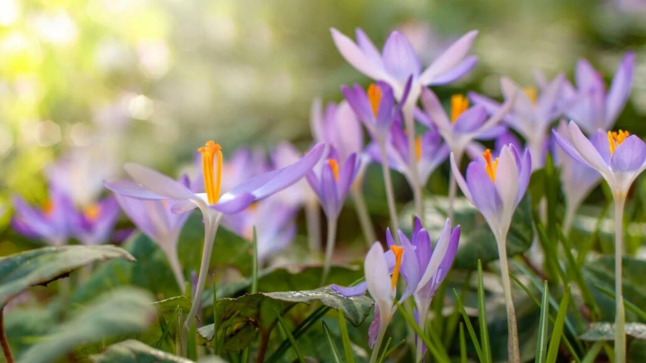 Heute mit Uwe und Frank nach l...