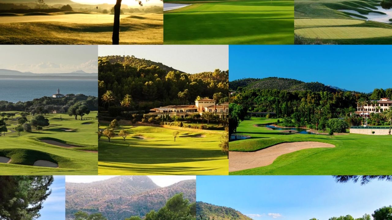 🇩🇪 Noch drei Wochen bis zu uns...