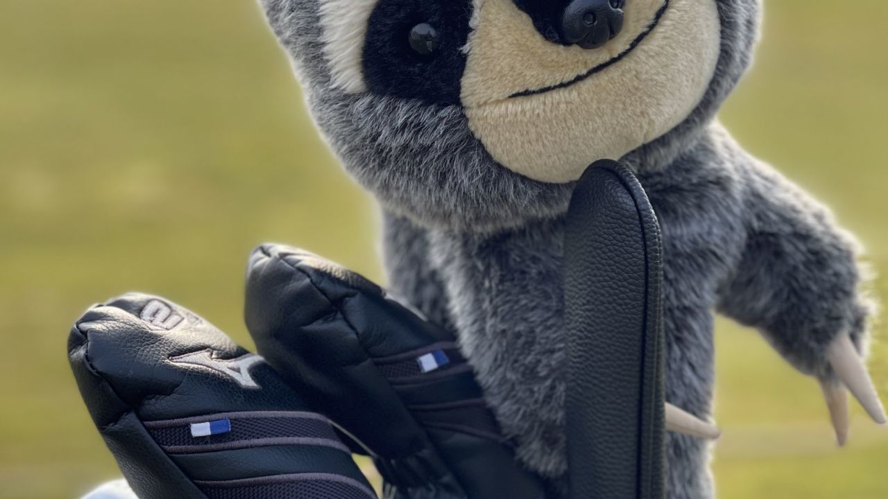 GC Schloss Mainsondheim