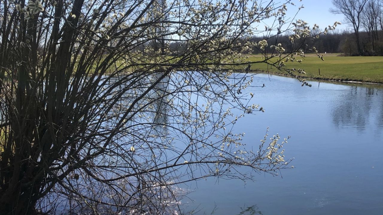 Golf & Country Club Velderhof