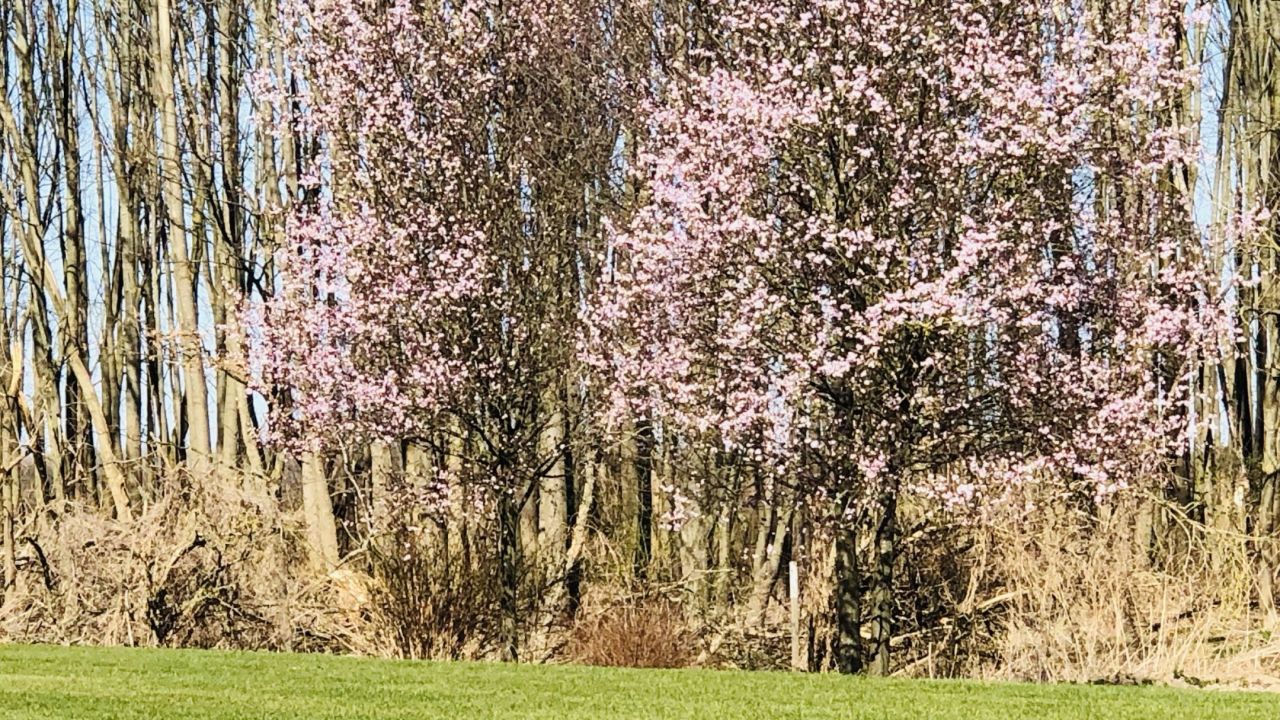 Golf & Country Club Velderhof