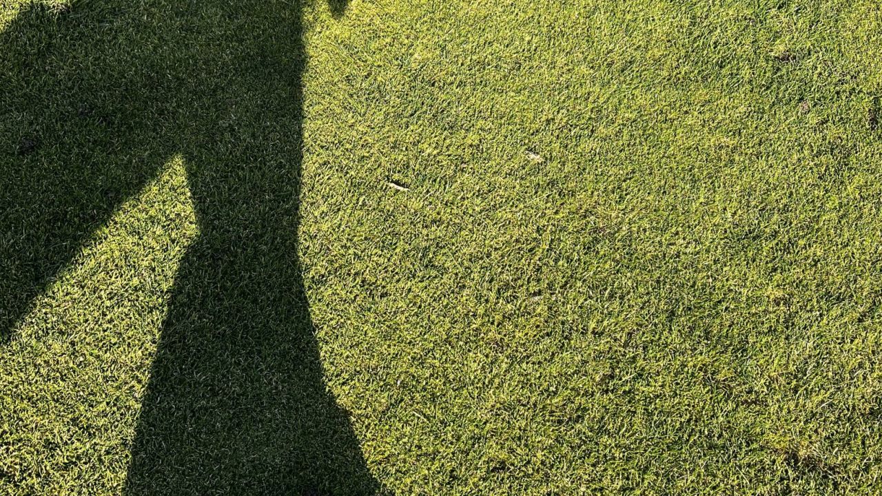 Golf Range Frankfurt