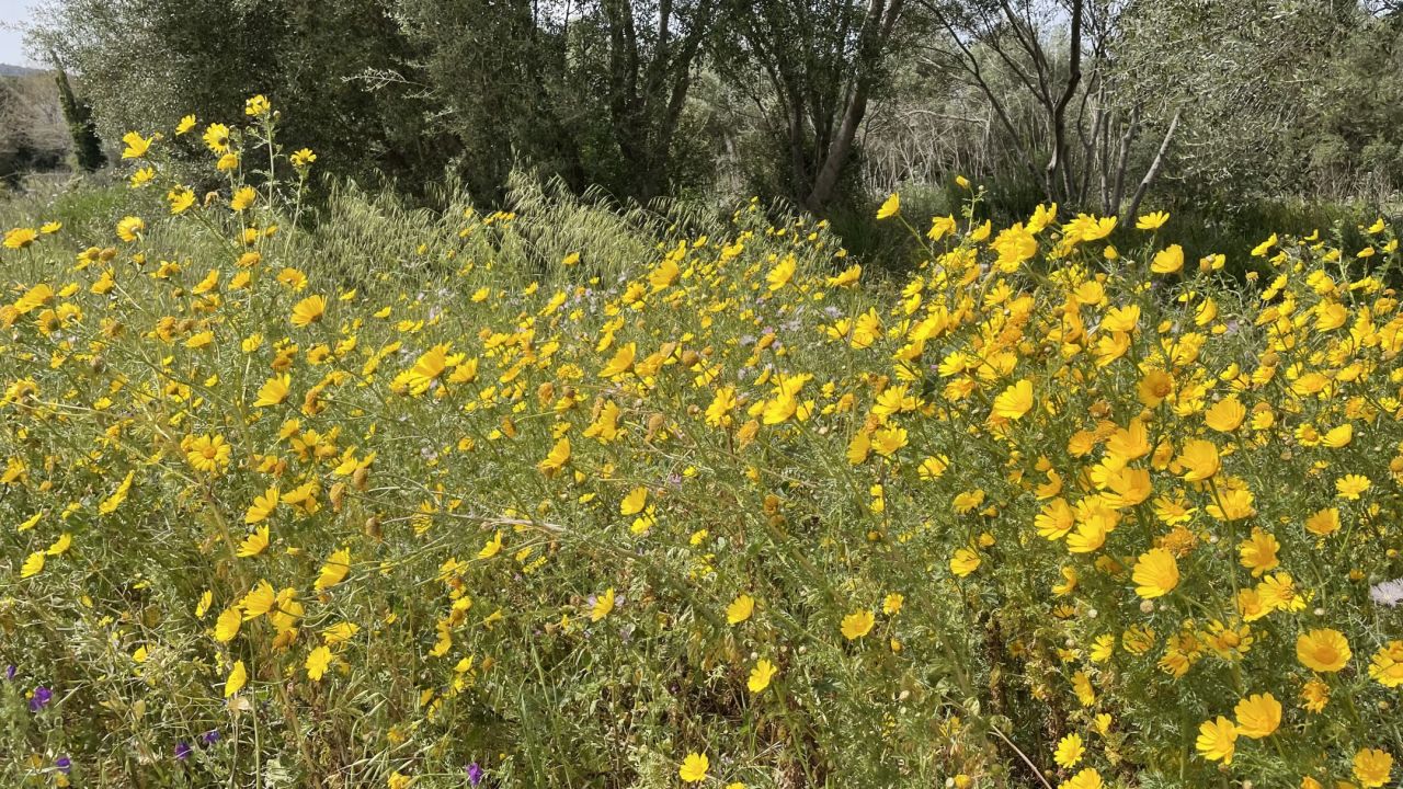 Siracusa I Monasteri Golf Club