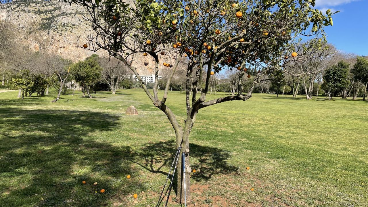 Golf Club Palermo - Parco Airoldi