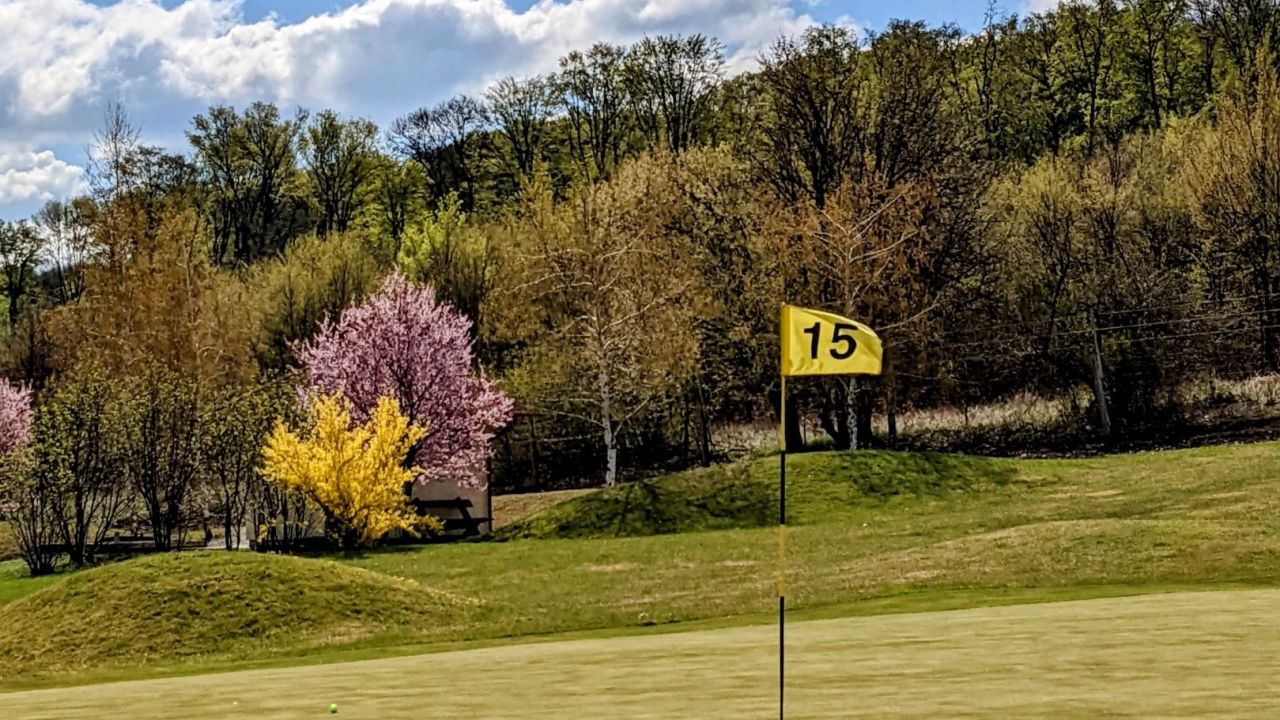 Forest Hills Golf & Country Club