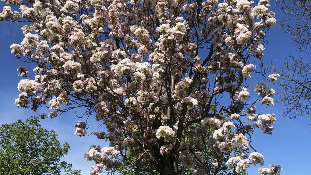 Golf & Country Club Velderhof