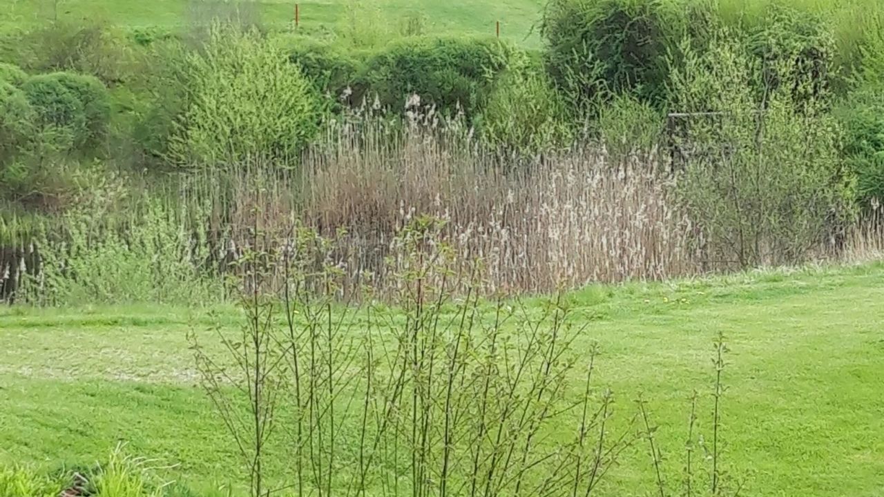 GC Rittergut Rothenberger Haus