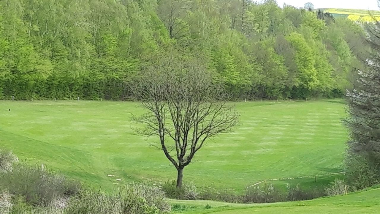 GC Rittergut Rothenberger Haus