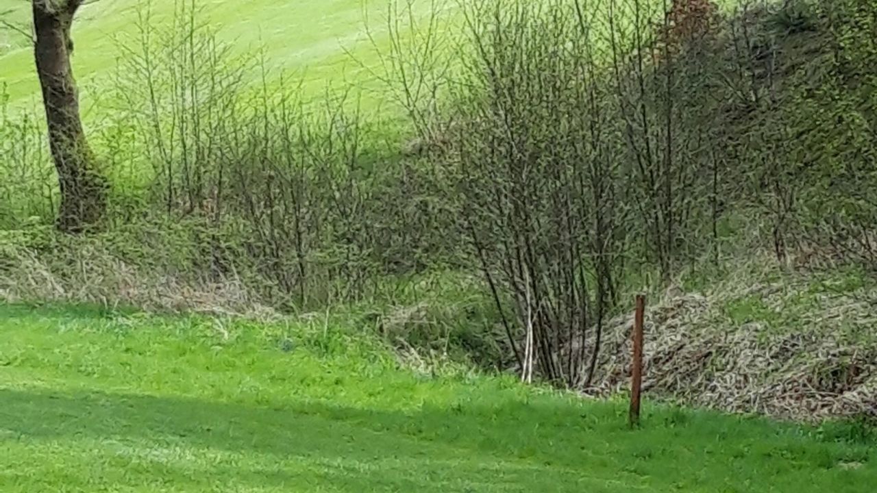 GC Rittergut Rothenberger Haus