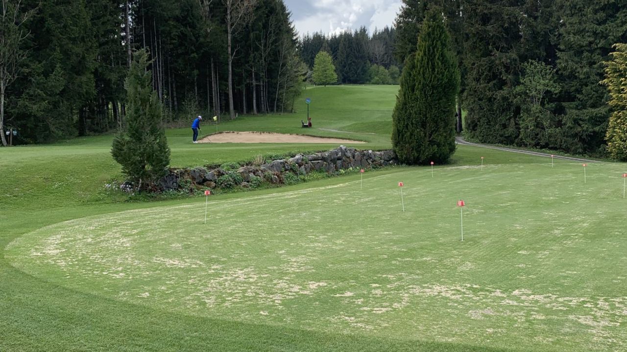 GC Waldegg-Wiggensbach e.V.