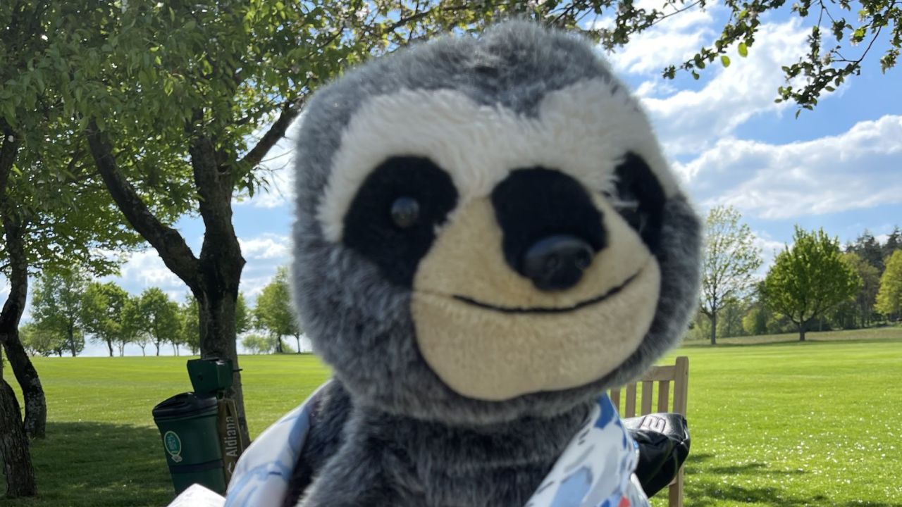 GC Steigerwald in Geiselwind