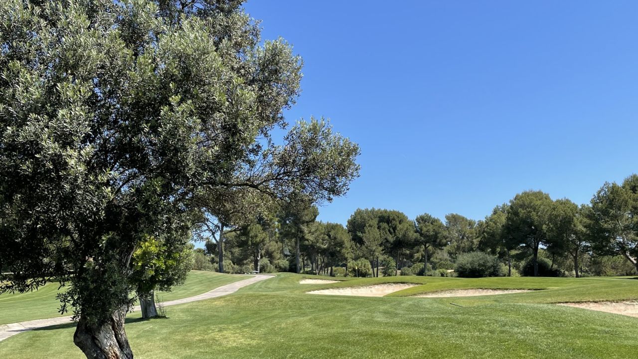 Club de Golf Alcanada