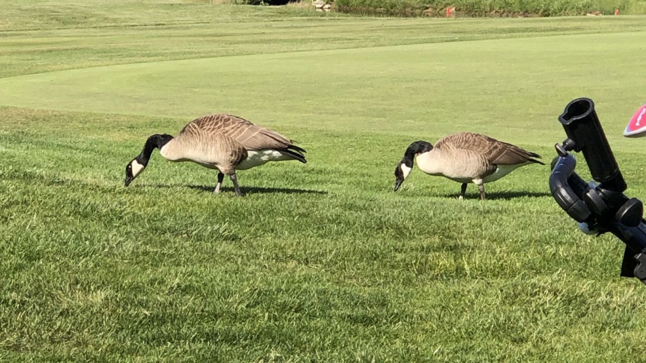 Golf & Country Club Velderhof