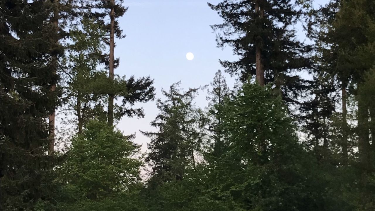 Mittelholsteinischer GC Aukrug