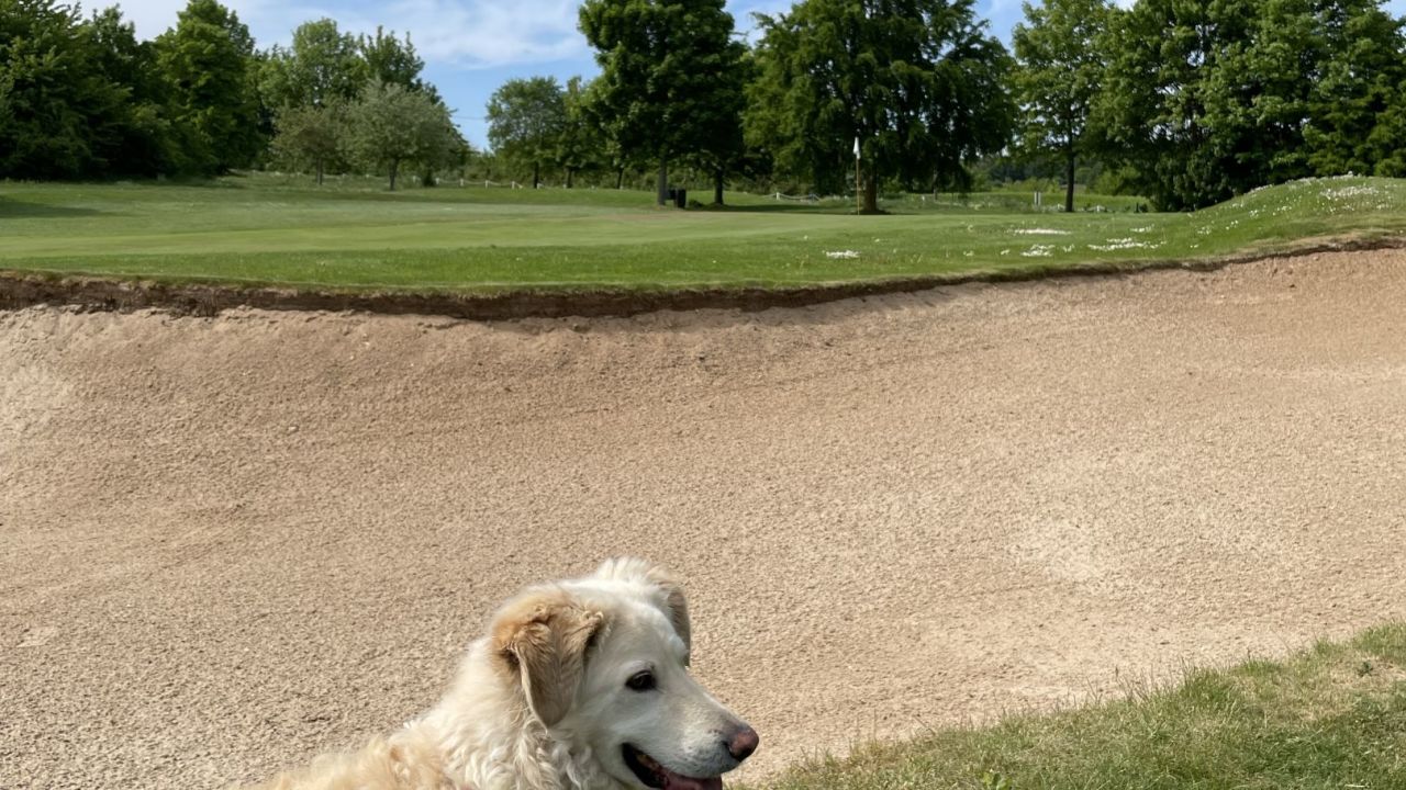 Golf Bad Münstereifel
