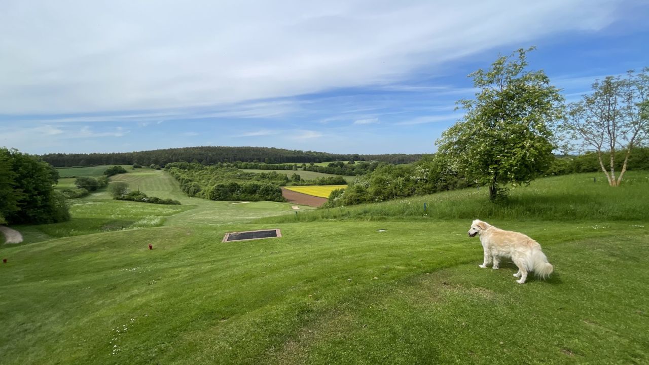 Golf Bad Münstereifel
