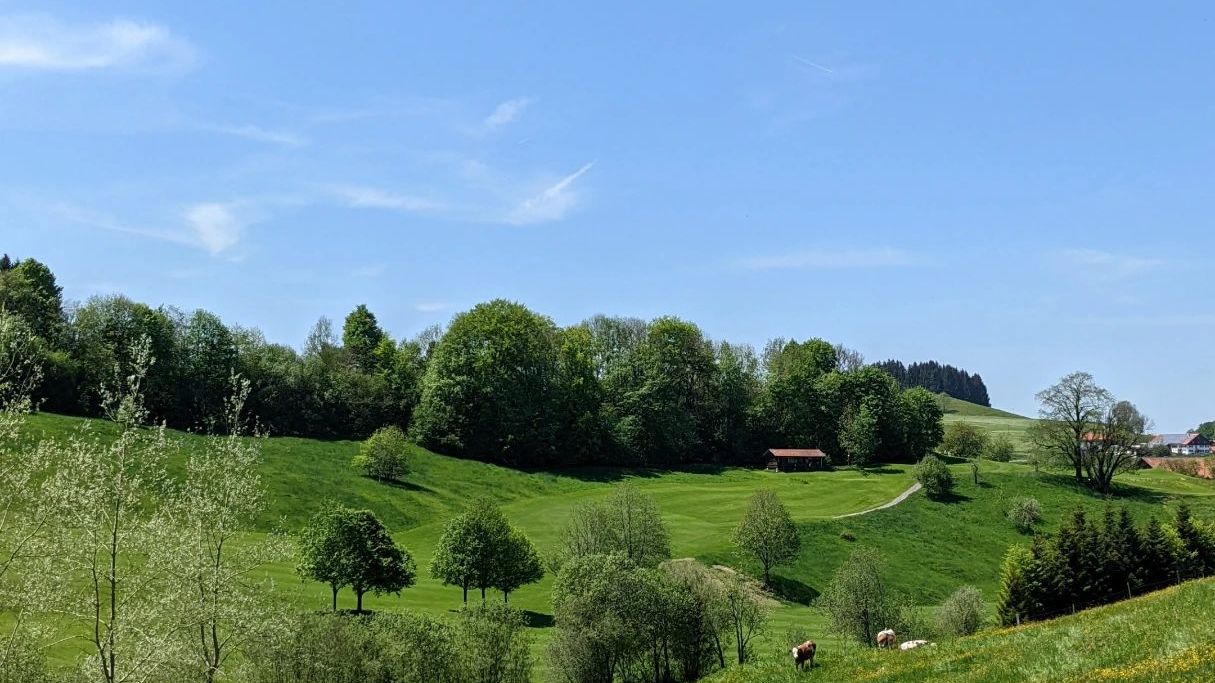 GC Waldegg-Wiggensbach e.V.