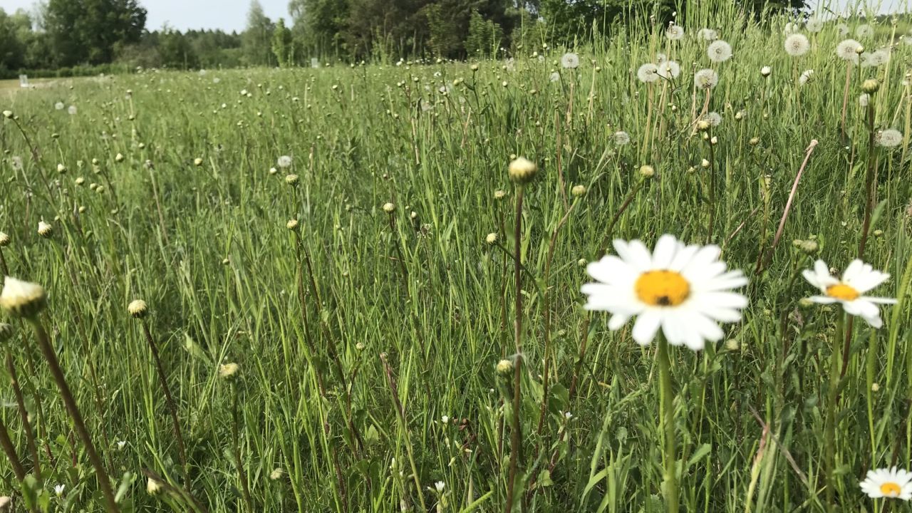 Golfclub Kallin e.V.