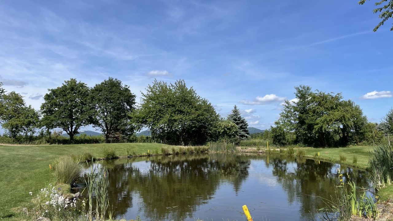 GC Bonn-Godesberg in Wachtberg