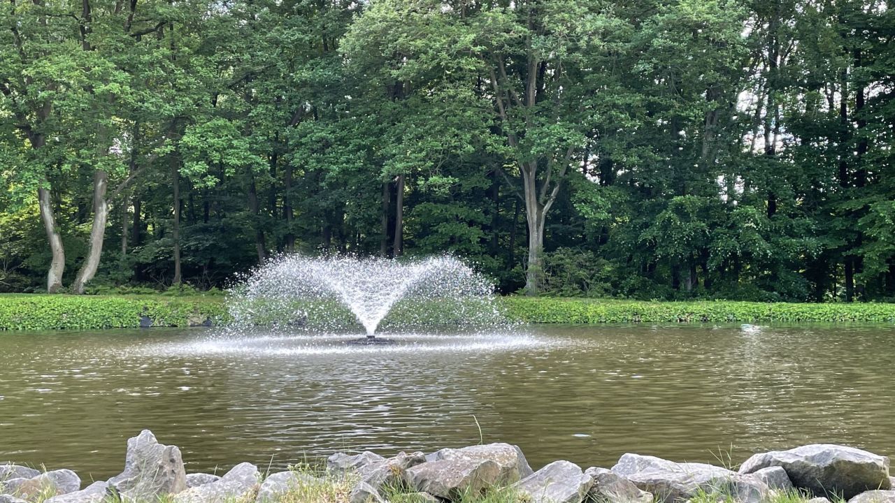 GC Bonn-Godesberg in Wachtberg