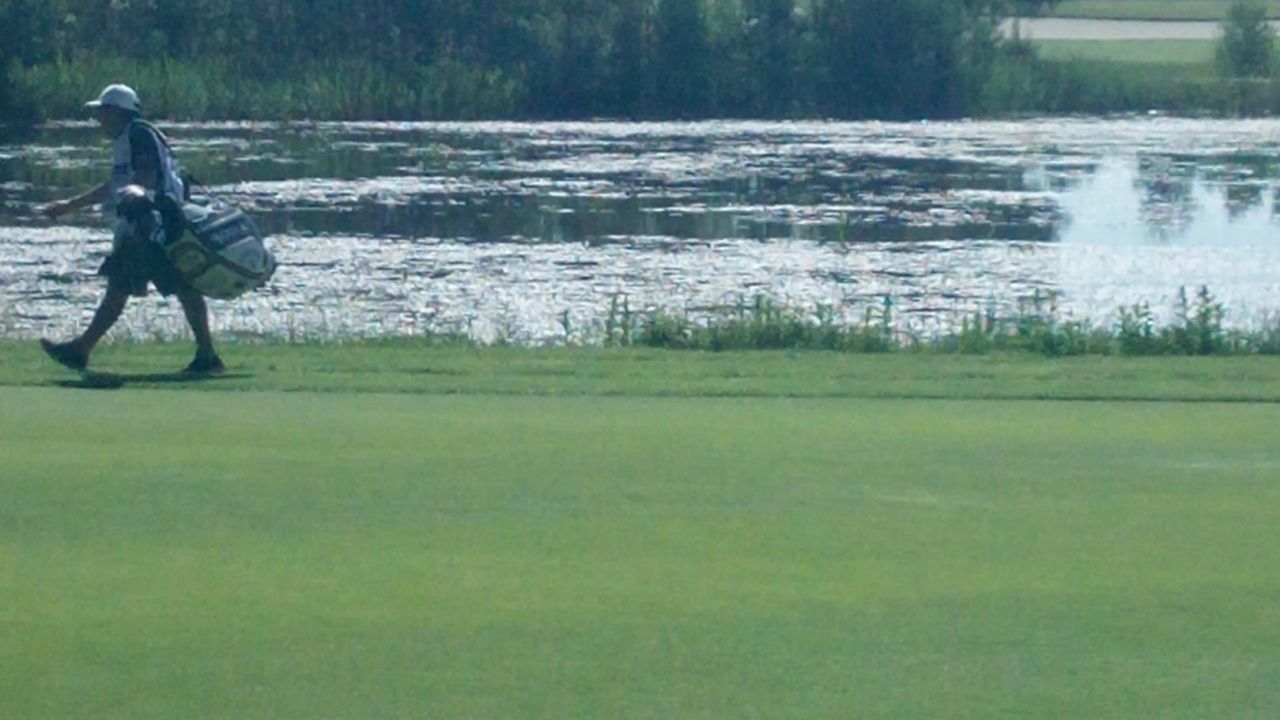 Green Eagle Golf Courses