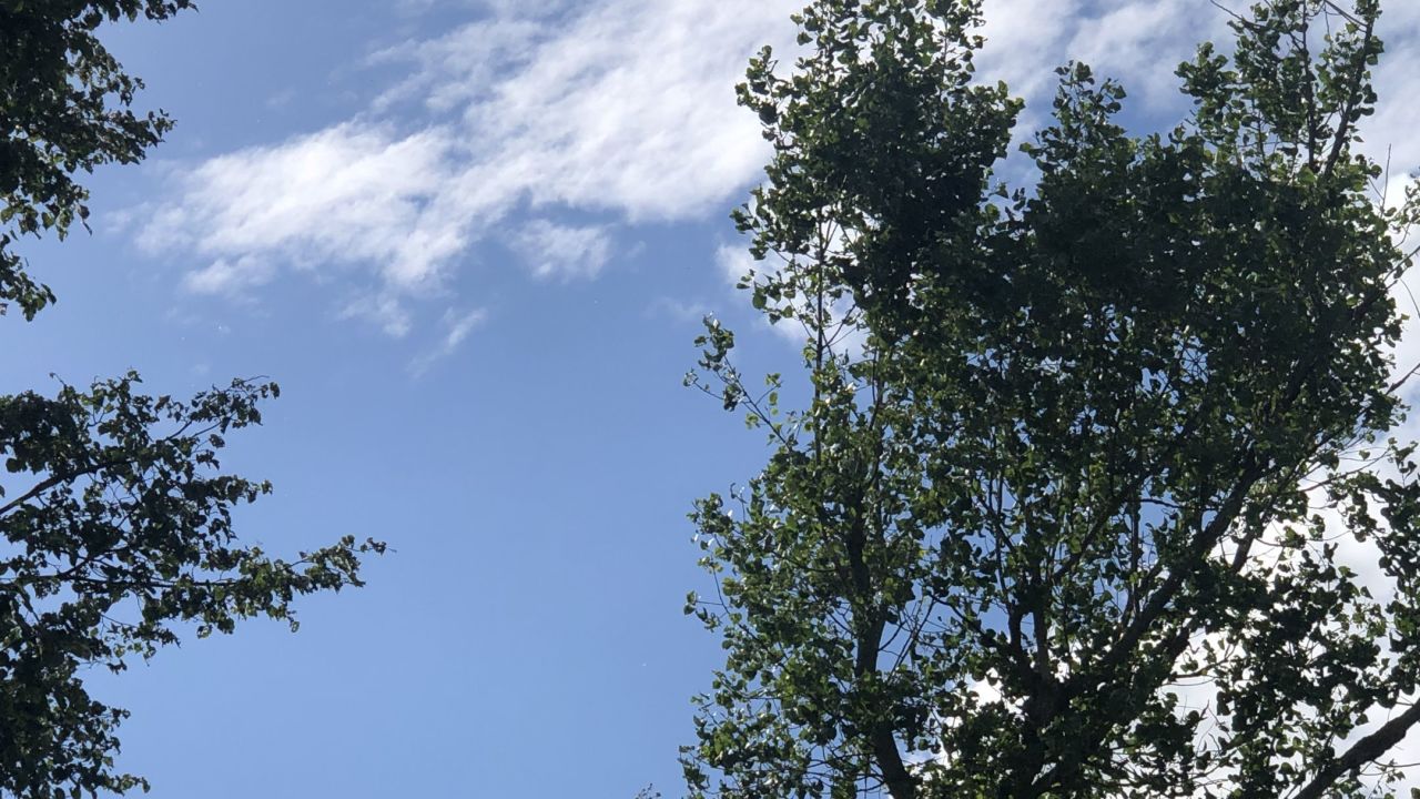 Golf & Country Club Velderhof