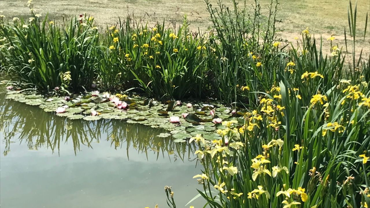 Golfclub Kallin e.V.