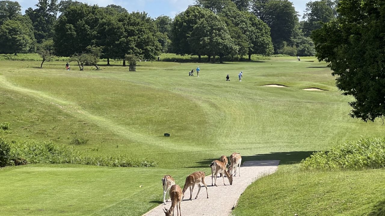 Knole Park Golf Club