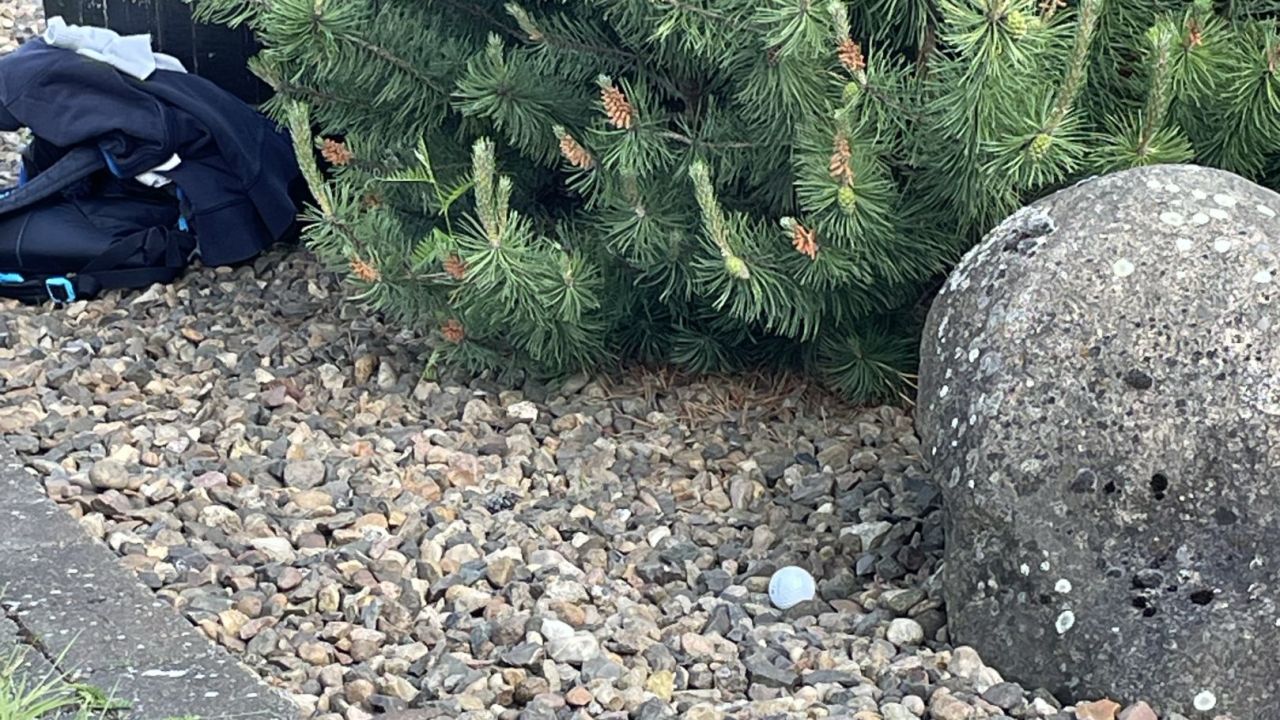 Green Eagle Golf Courses