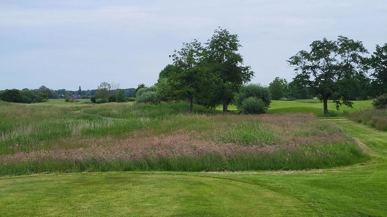 GC Wilhelmshaven-Friesland