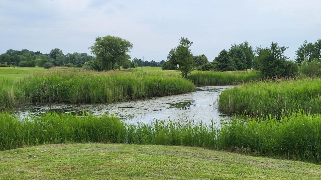 GC Wilhelmshaven-Friesland