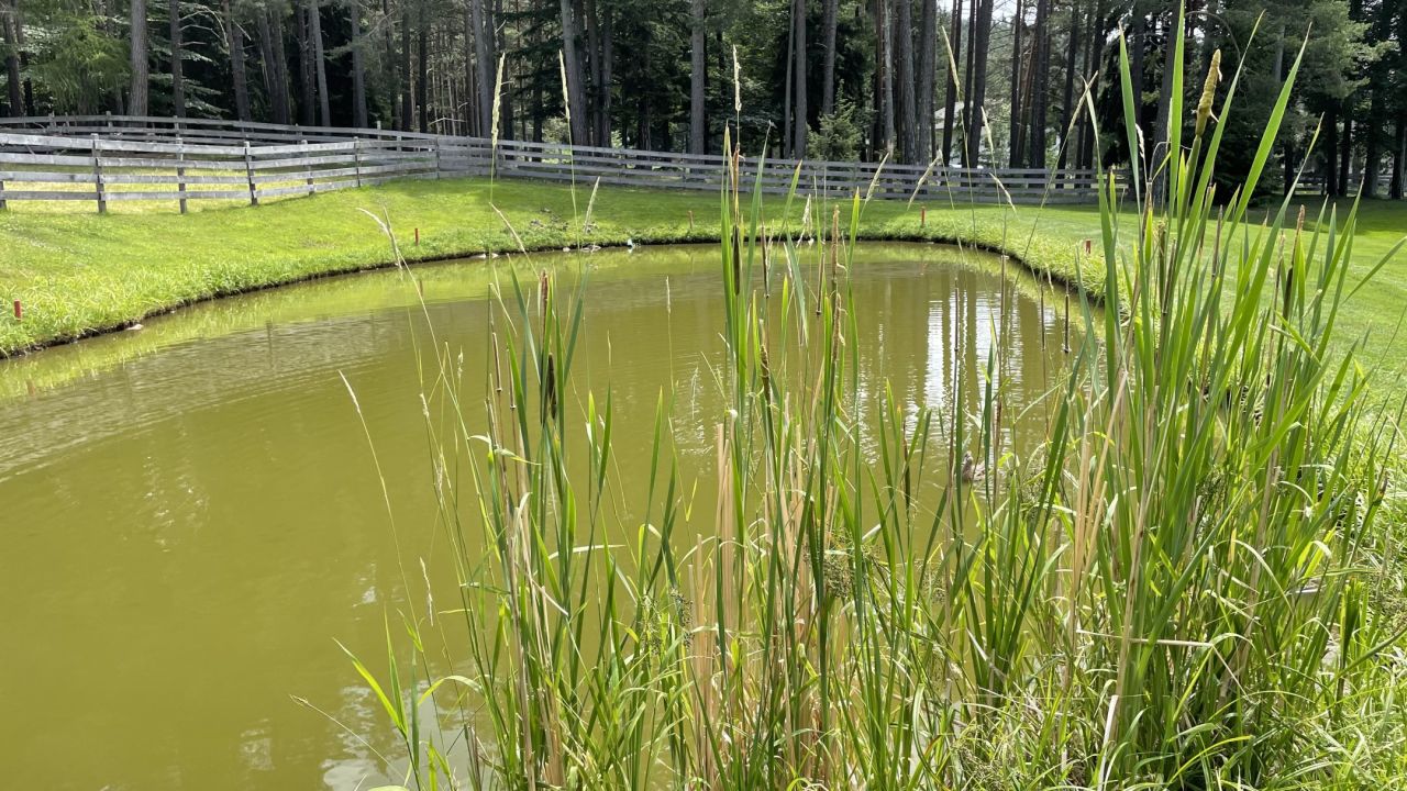 Golf Club Petersberg