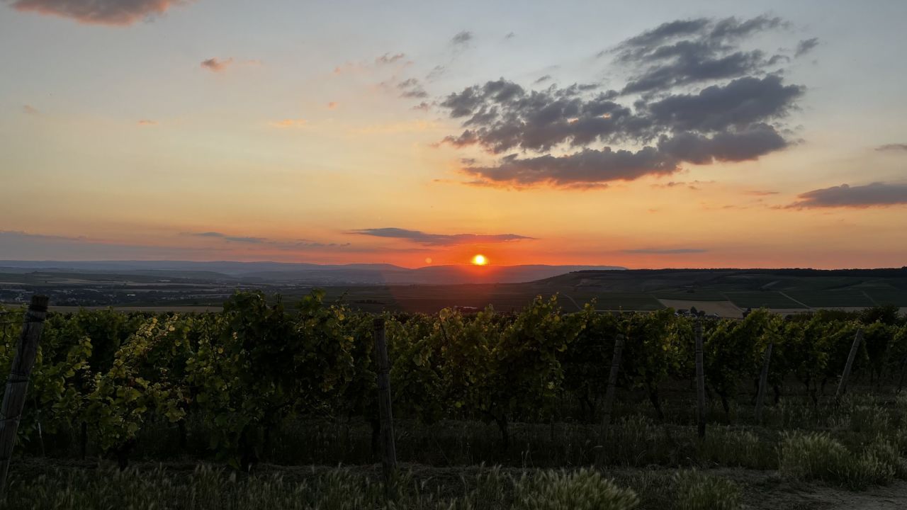 GC Rheinhessen