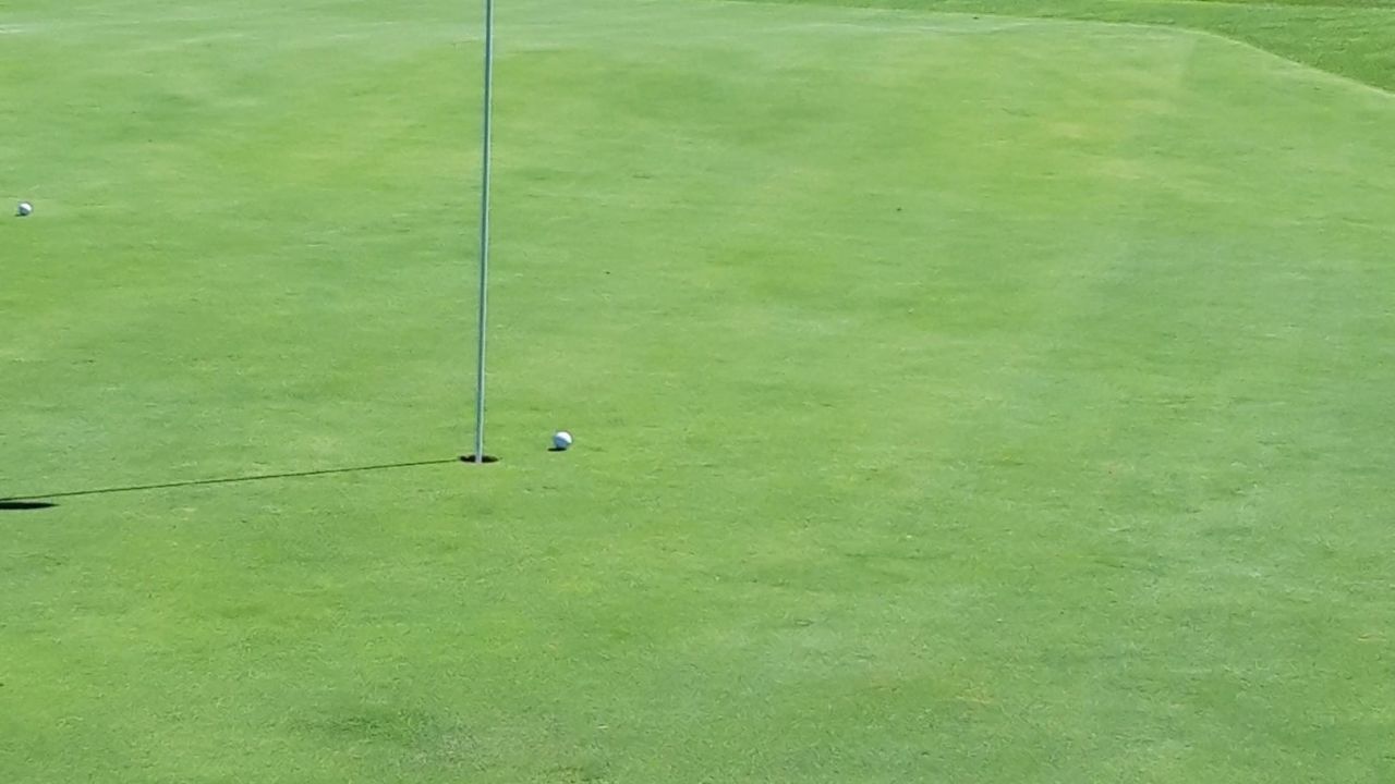 GC Domäne Niederreutin